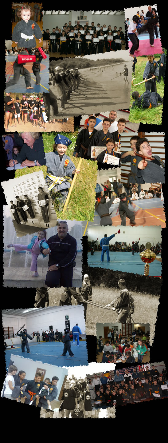 Instantanee Soriceii Ninja