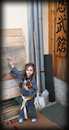 Norme de siguranta - Soriceii Ninja