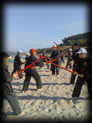 Soriceii Ninja - disciplina