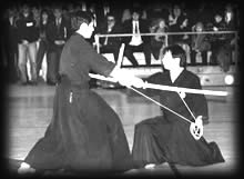 Shinobi Bujutsu - Ryogen Ryu